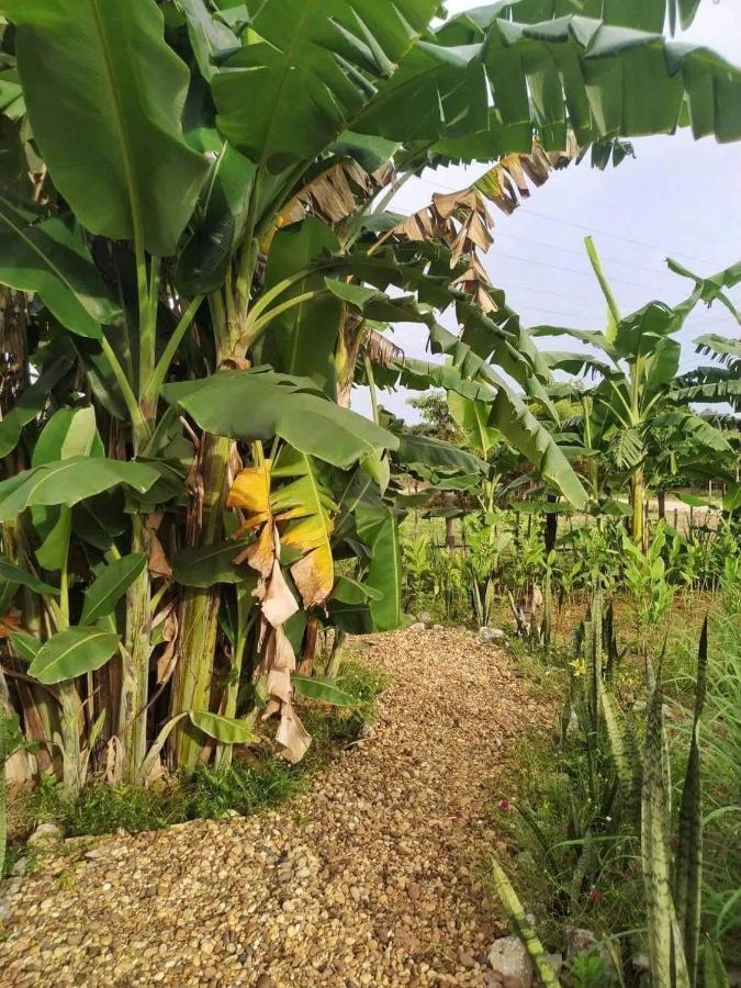 Nana Bungalows Ban Tan المظهر الخارجي الصورة