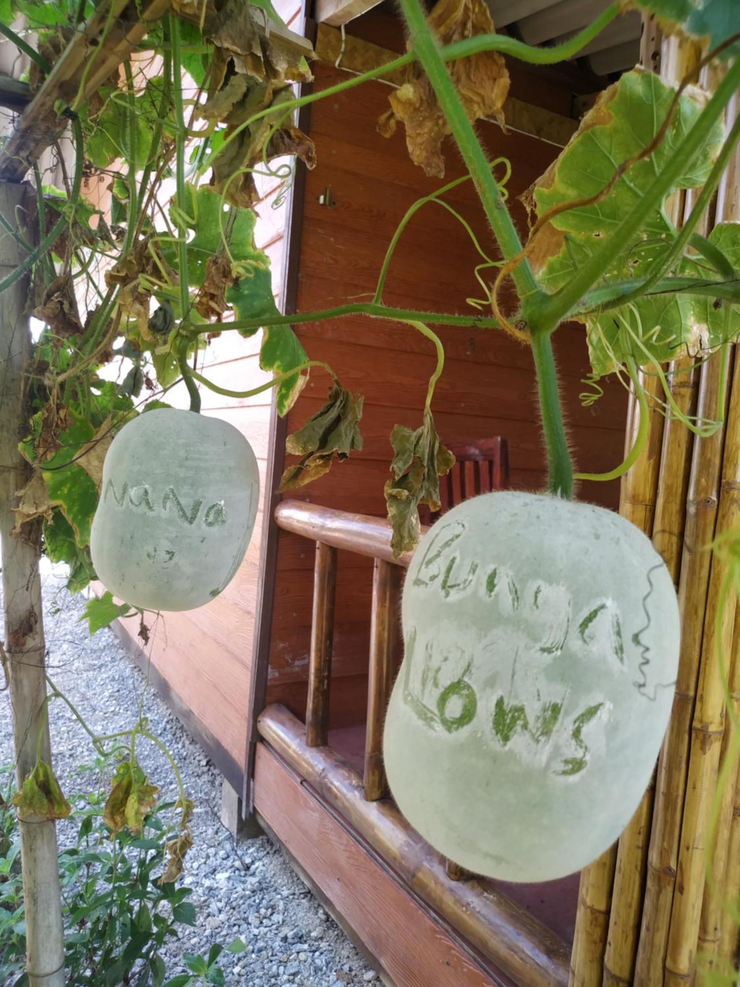 Nana Bungalows Ban Tan الغرفة الصورة