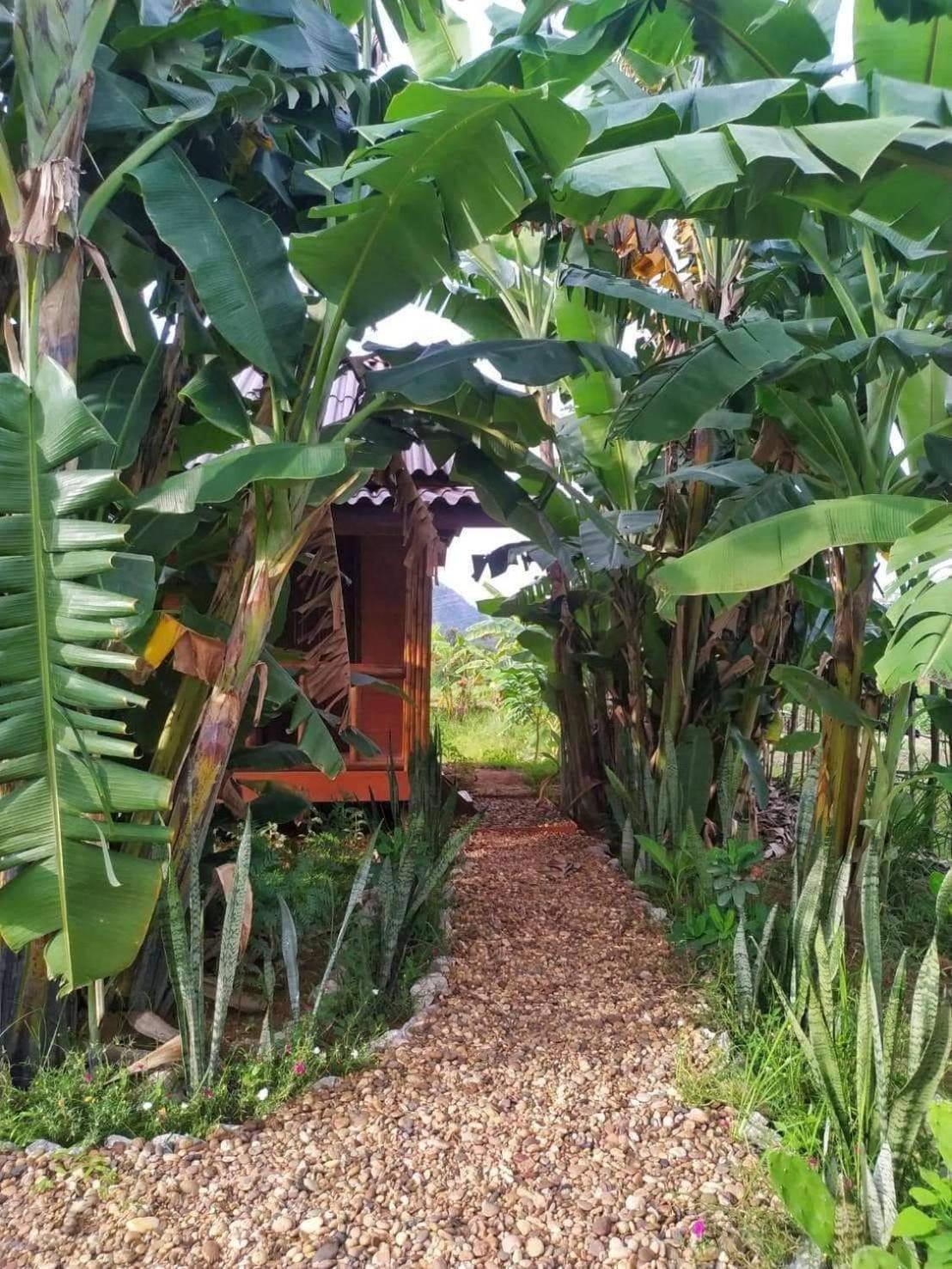 Nana Bungalows Ban Tan الغرفة الصورة
